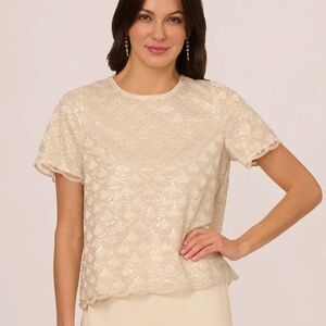 NWT Adrianna Papell Short sleeve sequin overlay top in pale taupe